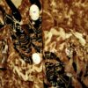 (One Size) African Women Vintage Burnt Orange Tribal Print Shirt/ Blouse - Image 3