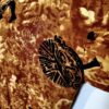 (One Size) African Women Vintage Burnt Orange Tribal Print Shirt/ Blouse - Image 5