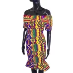 African Ghana Kente Print Women Multicolored Shirred Fitted Dress